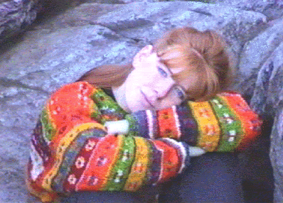 lari22.gif (75893 Byte)